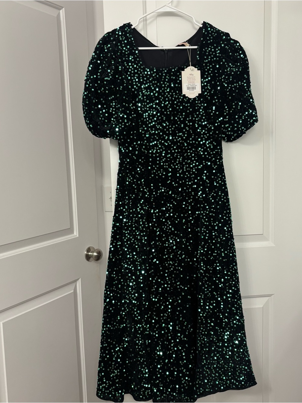NWT Ivy City Co. Vivian Sequin and Velvet Dress